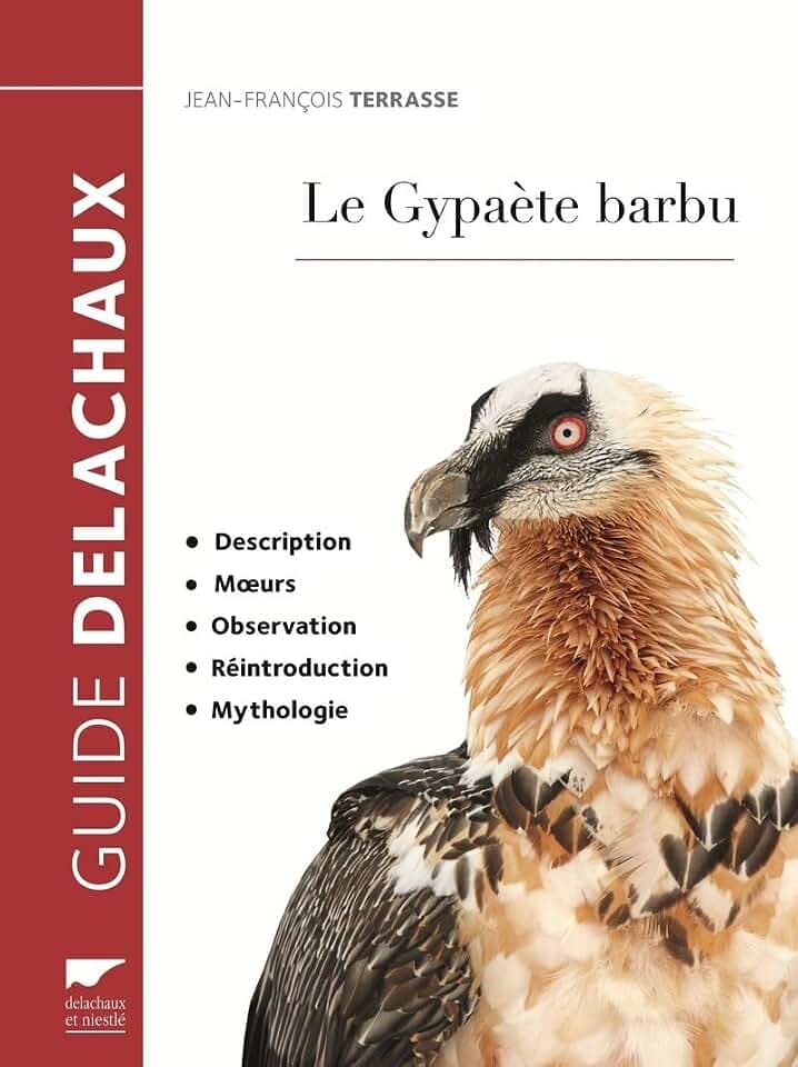 Le Gypaète barbu: Description, moeurs, observation, réintroduction, mythologie