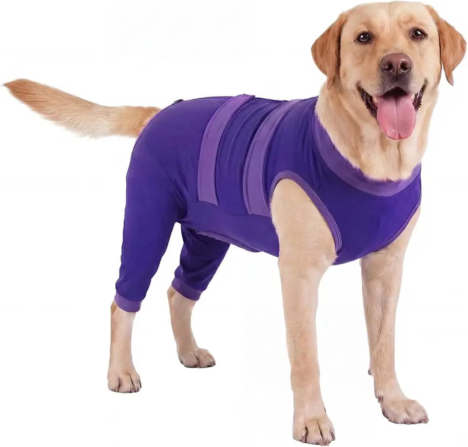Lelepet Hundebody Nach Op Hinterbein, Hunde Leckschutz mit Beinen, OP Body Hund Kastration Rüde Hündin, Kastrationsbody Verstellbares Genesungsanzug, Anti-Leck Erholungsanzug für Hunde, Lila 2XL