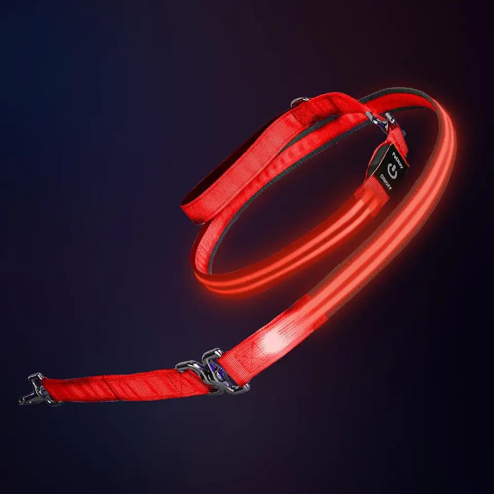 LED Dog Leash, Reflective Waterproof Light Up Safety Leashes, 6FT, Red