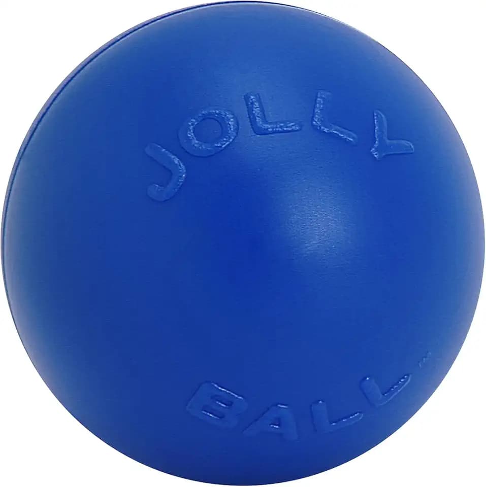Jolly Pets Push-n-Play Ball Dog Toy, 14 Inches/Extra-Large, Blue (314 BL), for All Breed Sizes