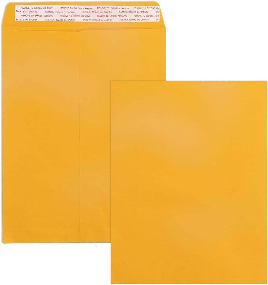 Goefun 10x13 Manilla Envelopes, 100 Pack