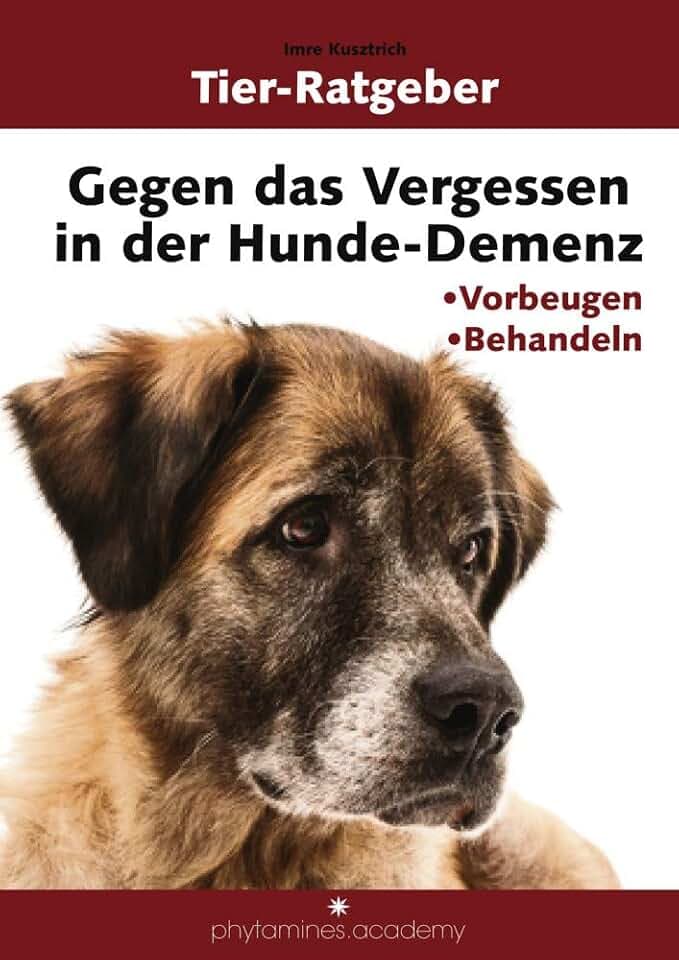 Gegen das Vergessen in der Hunde-Demenz: Vorbeugen und Behandeln (phytamines.academy)