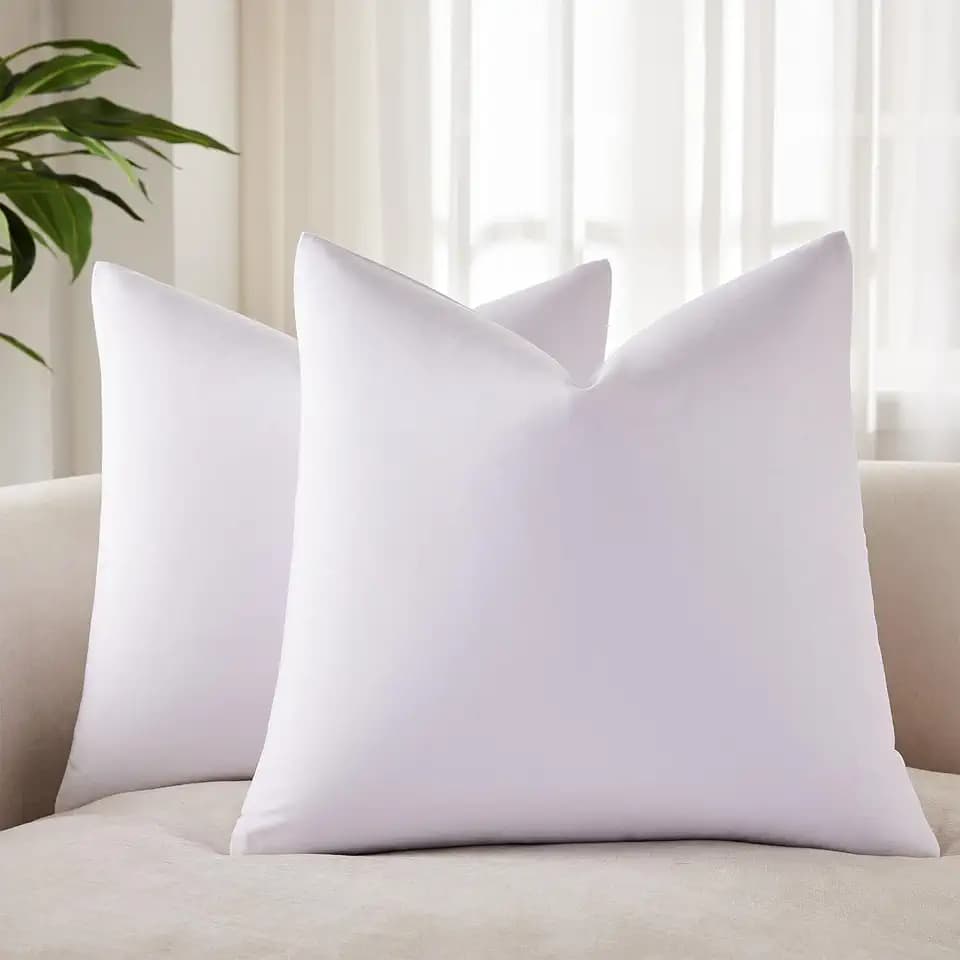 JUSPURBET 28x28 Euro Velvet Throw Pillow Covers Set of 2,White