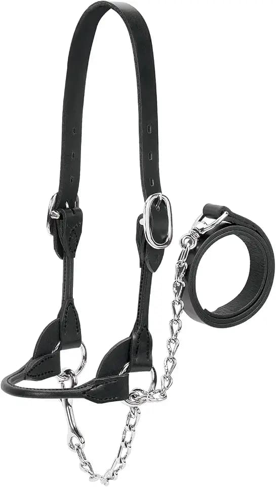 Weaver Leather Dairy/Beef Rounded Show Halter, Black, Medium
