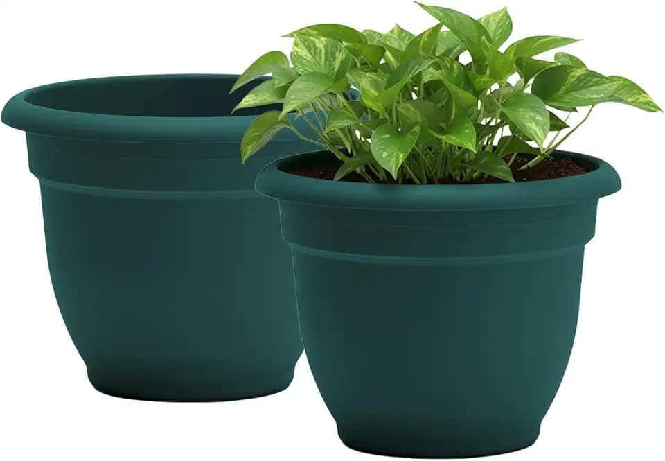 Bloem Ariana 12" Plastic Self-Watering Planter, Charleston Green, 2-Pack