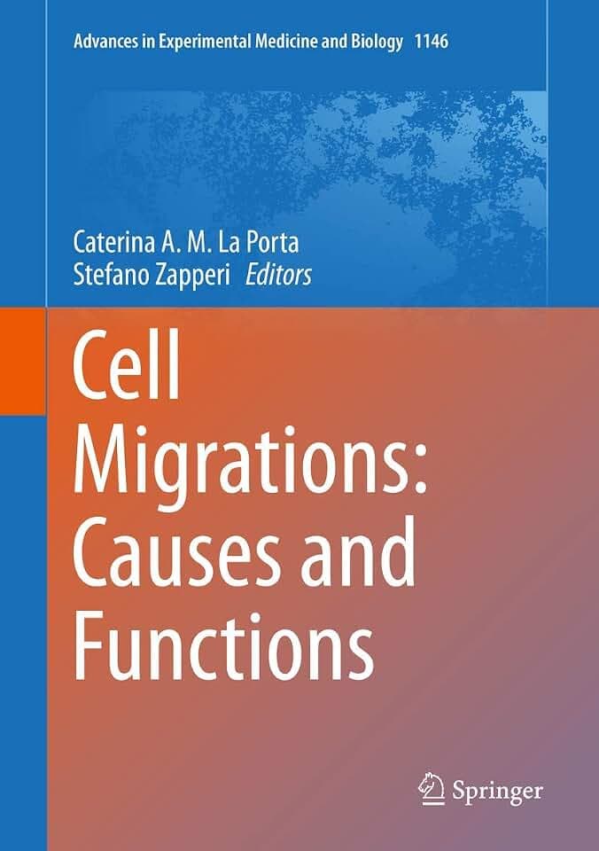 Cell Migrations: Causes and Functions (Advances in Experimental Medicine and Biology, 1146, Band 1146)