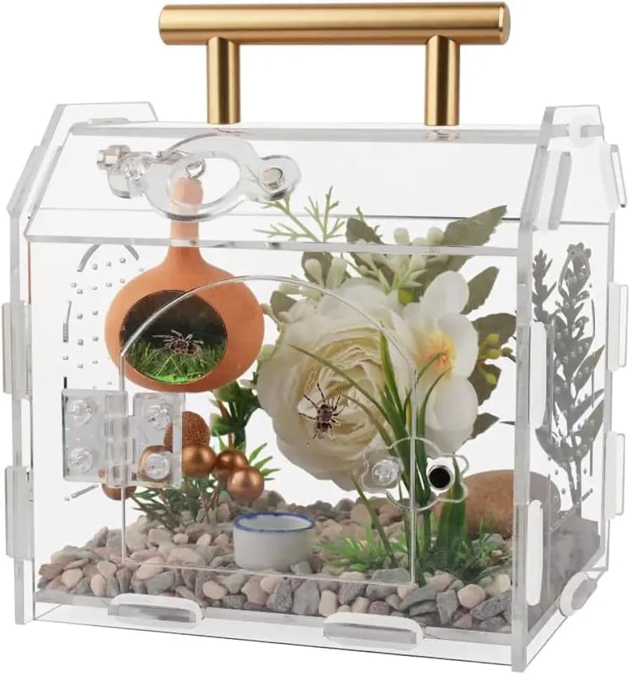 YUEHUA Acryl Terrarium Klar DIY Terrarium Box mit Fronttür Hausform Lebensraum Acryl Gehege für Insekten, Spinnen, Schnecken (15 x 12 x 14 cm)