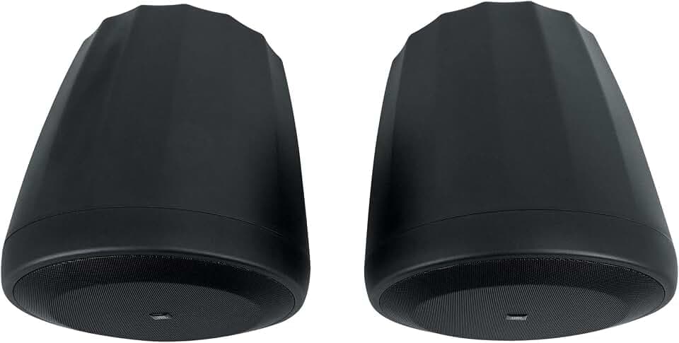 JBL Professioneller C60PS/T Hängender Subwoofer mit passiver Frequenzweiche, schwarz, paarweise