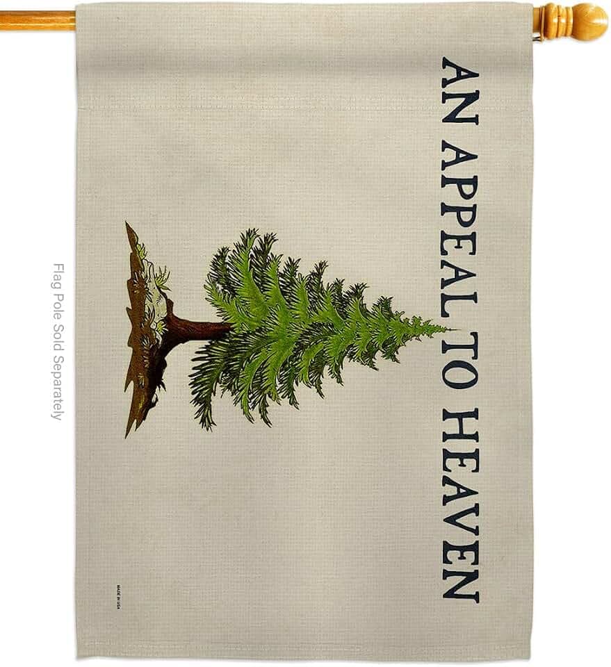 Washington's Cruisers House Flag an Appeal to Heaven Vintage Poster Home Decor Gadsden Liberty Pine Tree Yard Sign Historical Revolution Colonial Patriotic Decorations Made in USA