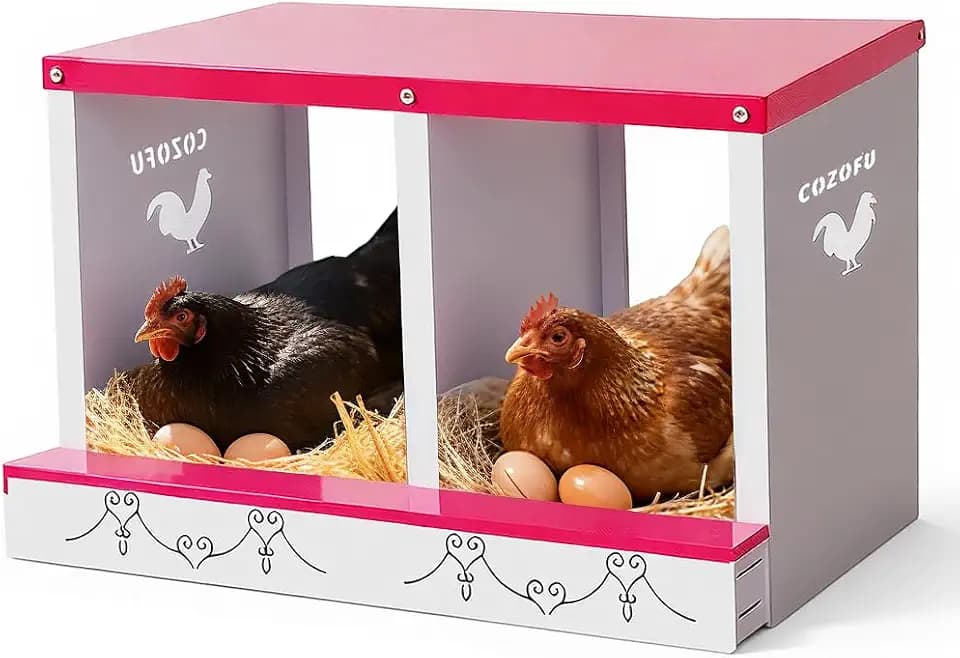 Chicken Nesting Boxes Rollout Egg Laying Collection 2Compartment Red