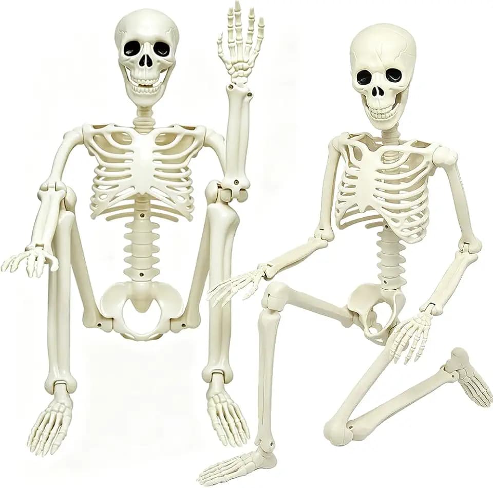 2 Pack 3ft Posable Plastic Halloween Skeleton-36" Skeleton Halloween Decor