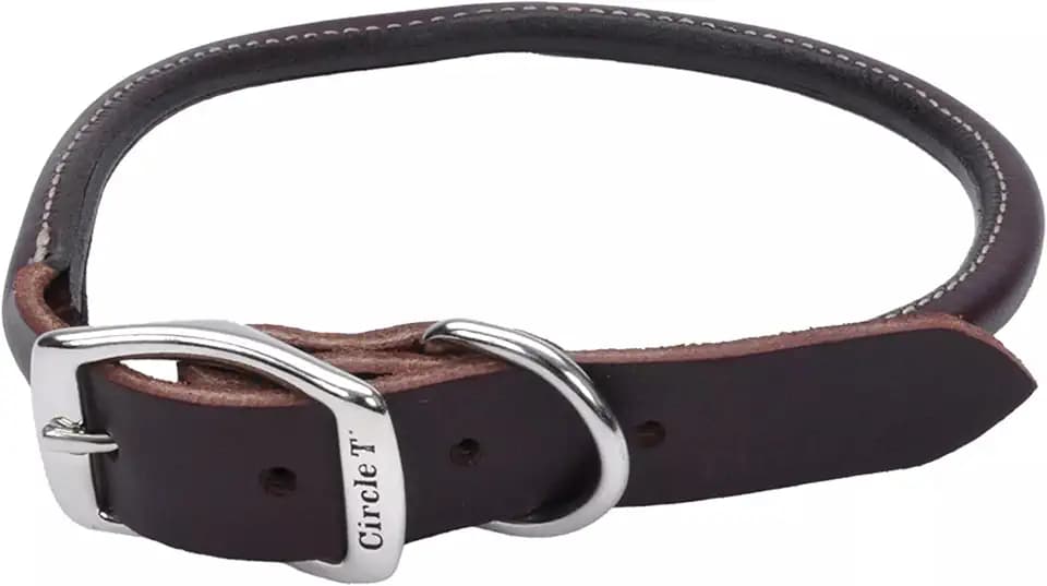 Coastal Pet - Circle T - Latigo Leather Round Dog Collar with Solid Brass Hardware, Latigo, 1" x 22"