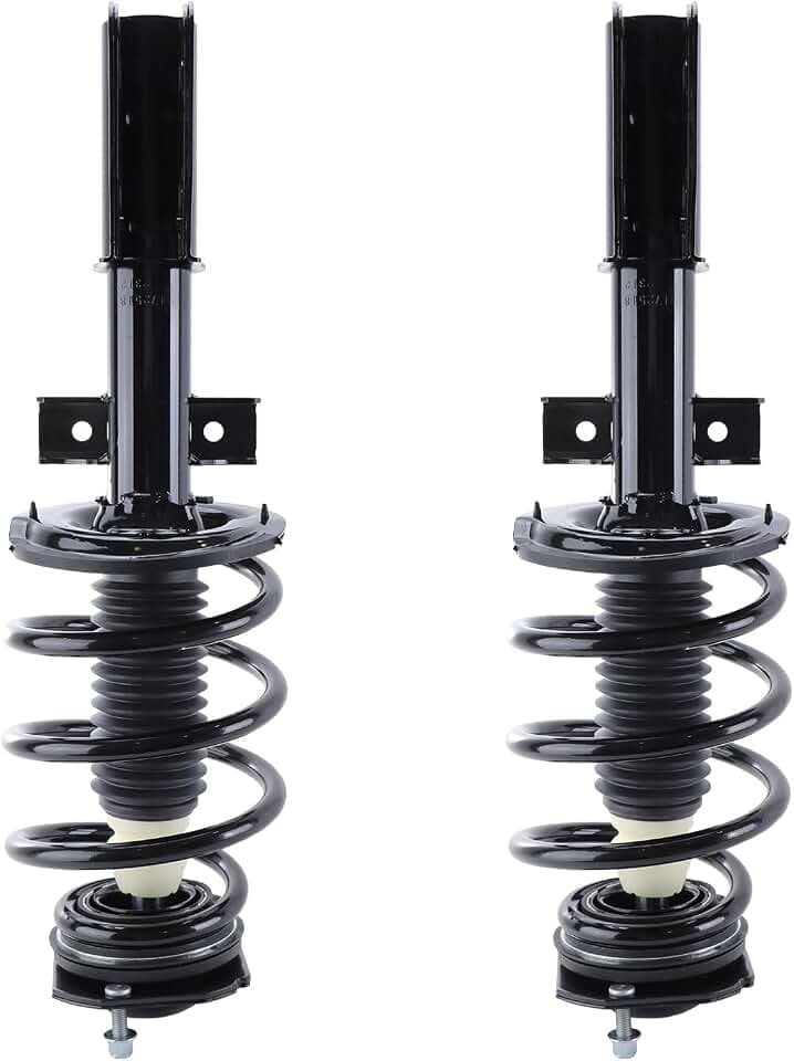 RAYTEN 172518 * 2 Front Suspension Strut and Coil Spring Assembly