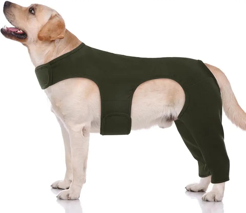 Dog Leg Sleeve to Stop Licking Skin Wound After Surgery Help Recovery Suit