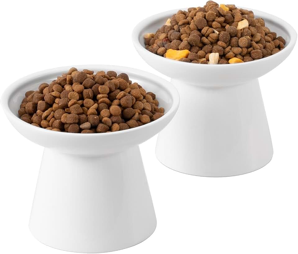 CEEFU 2-Pack Extra Wide Elevated Ceramic 6.2" Shallow Cat Food Bowls