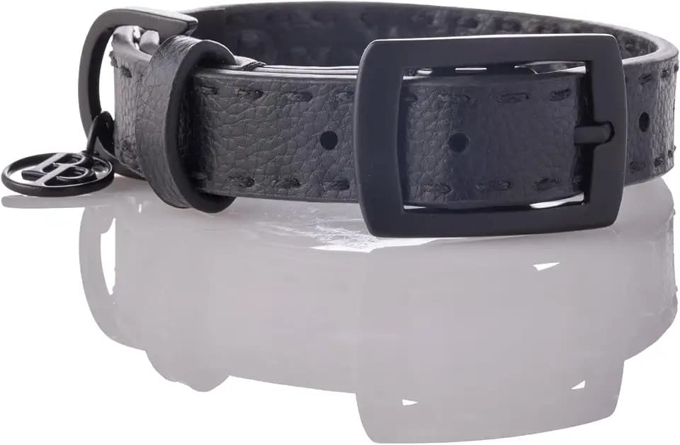 Pet Passion Rein Dog Collar, Vegan Leather, Black Beauty, X-Large