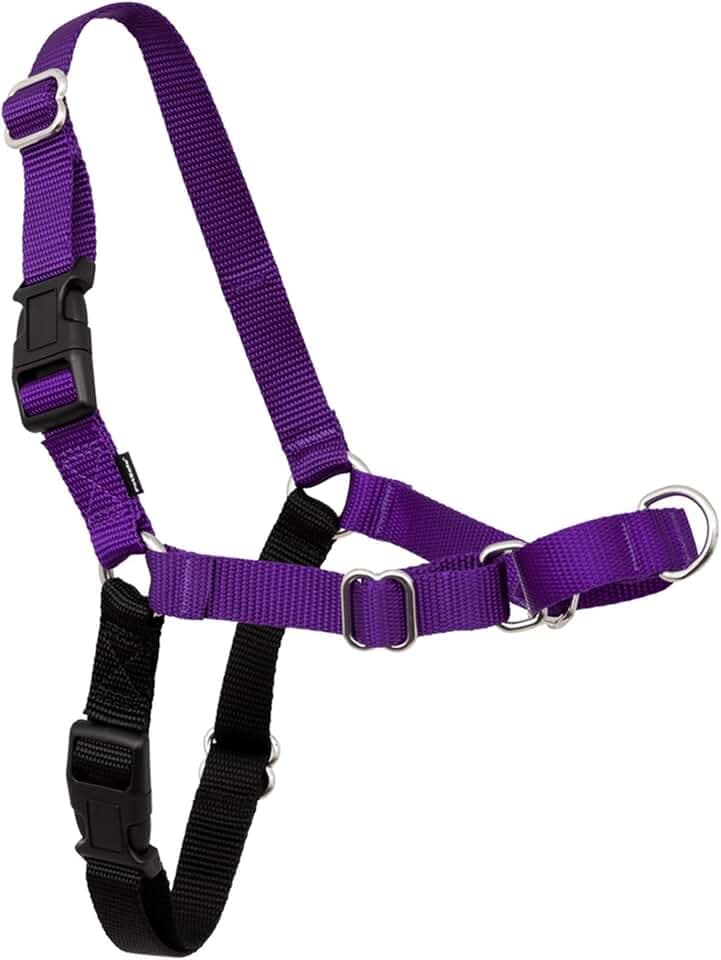 PetSafe Easy Walk Harness, No Pull Dog Harness, Deep Purple, Medium/Large