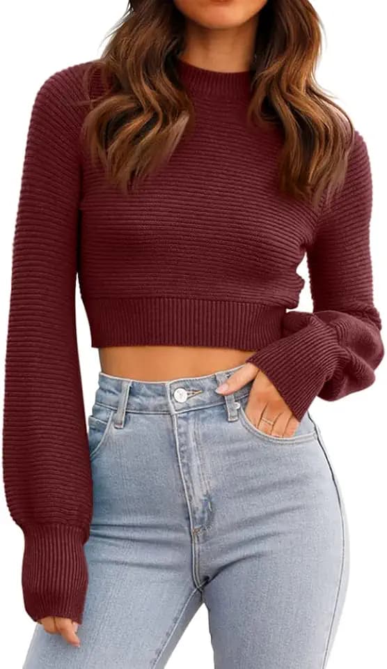 Womens Sexy Crew Neck Cropped Sweaters Knit Long Sleeve Crop Tops Pullover