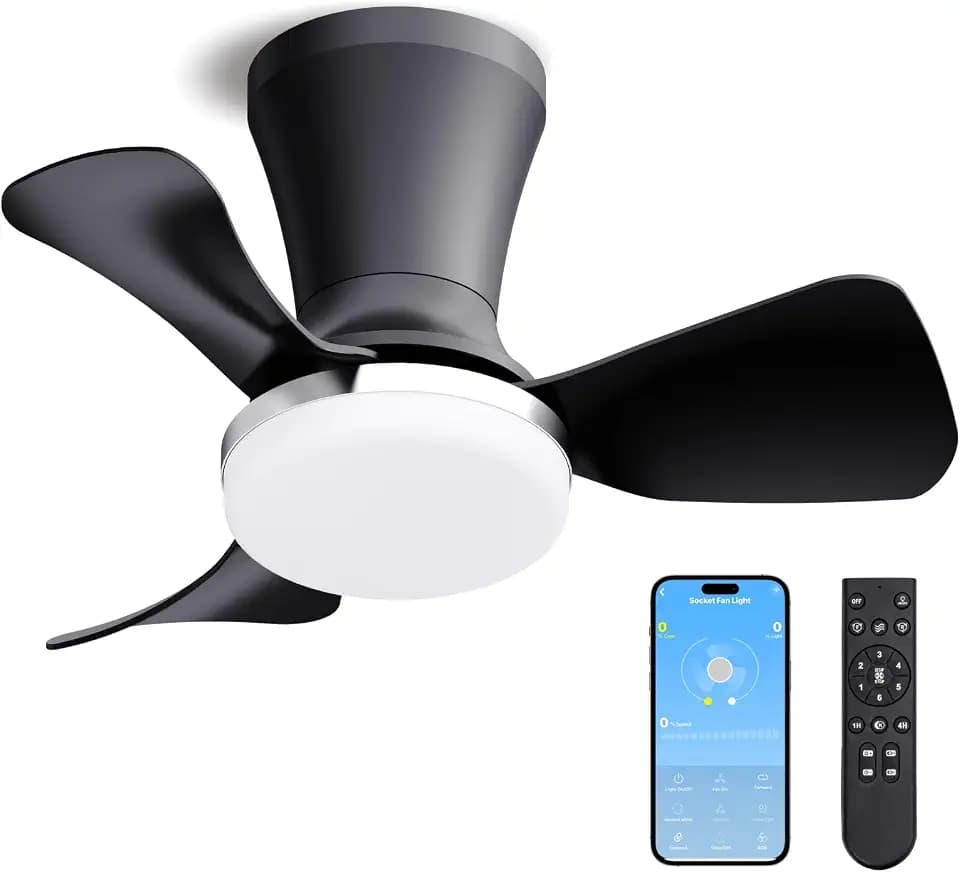 LANMEL Metal Ceiling Fan with Lights and Remote, 22 Inch, Silver & Black