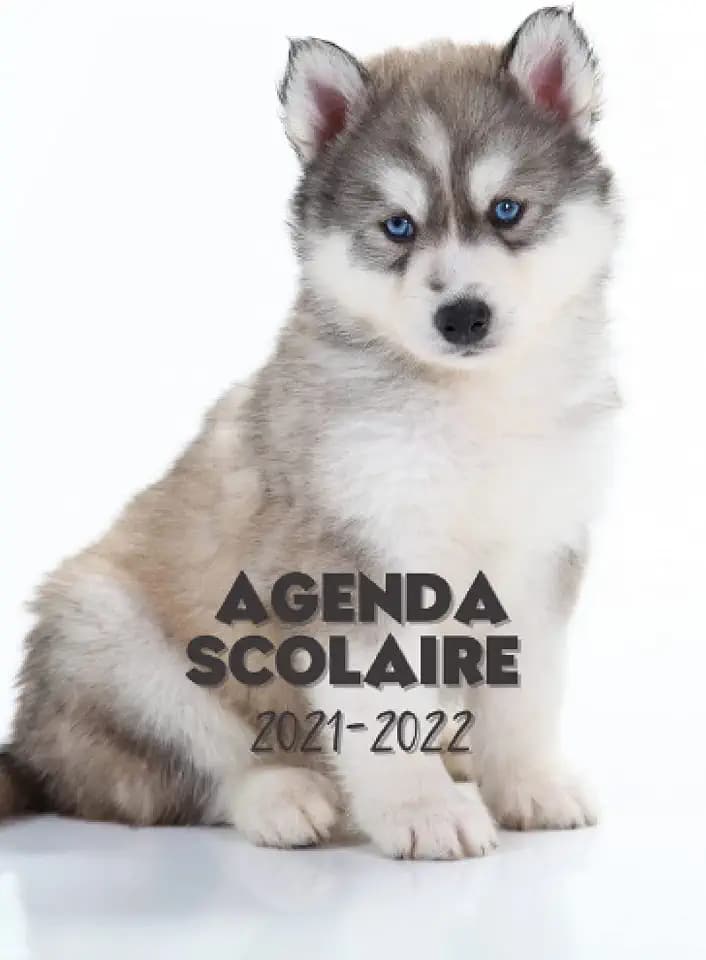 Agenda scolaire 2021-2022: Agenda motif bébé chien loup husky : sublime agenda journalier pour élémentaire, collège, lycée