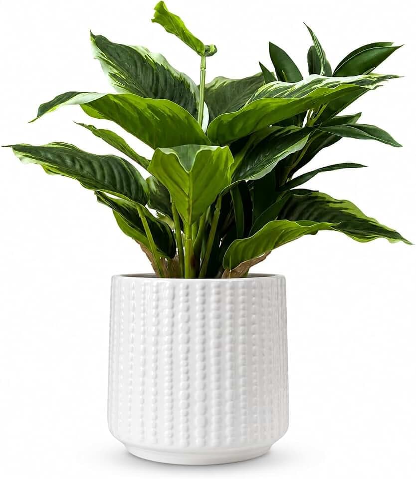 Ceramic Planter Pot with Drainage Hole, 5 Inch Dia, Indoor and Outdoor, Home Patio Garden, Plants&Flowers, Textured Round (White)