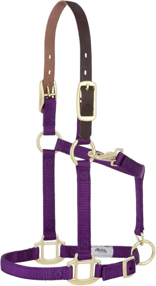 Weaver Leather Adjustable Breakaway Nylon Horse Halter, Purple, Weanling/Pony