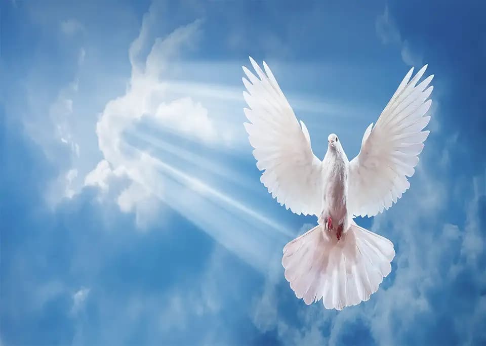 BELECO 7x5ft Fabric Peace Dove Backdrop Holy Spirit Bird Jesus Christ Backdrop Bright Heaven Light Blue Sky White Clouds Love and Peace White Dove Background Church Event Decor Christian Photo Props