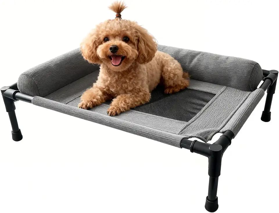 Raised Dog Beds for Small Dogs, Cooling Indoor Outdoor Elevated Bolster Dog Cot Hammock with Metal Frame Breathable Mesh, Portable Dog Sofa Camping Dog Bed (23.62" L x 15.75" W x 5.91" H)