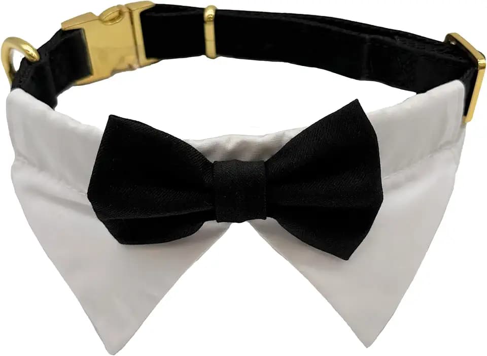 Croci Ceremony Smoking Hundehalsband, Bandana, Smoking für Hunde, Hemd und Fliege, für Hochzeit, verstellbar, Größe L 41–66 cm