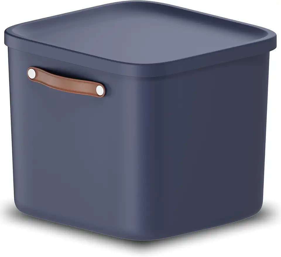 Rotho Maloja Aufbewahrungsbox mit Deckel 40 L große Box aus Kunststoff