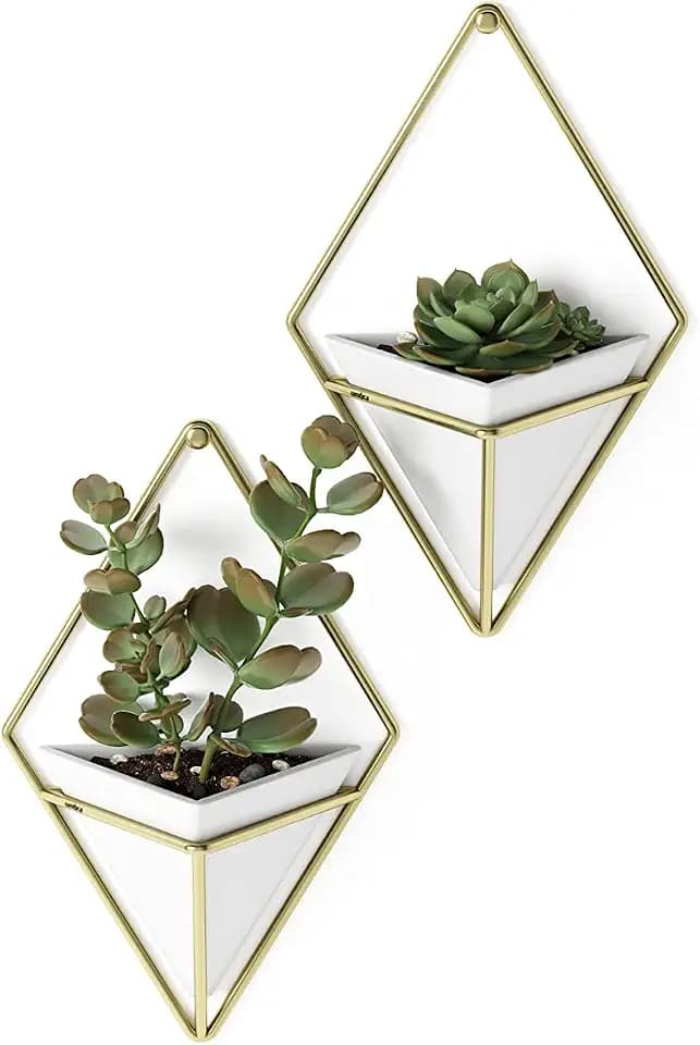 Umbra Trigg Hanging Planter for Small Plants, Set of 2, Small, White/Brass