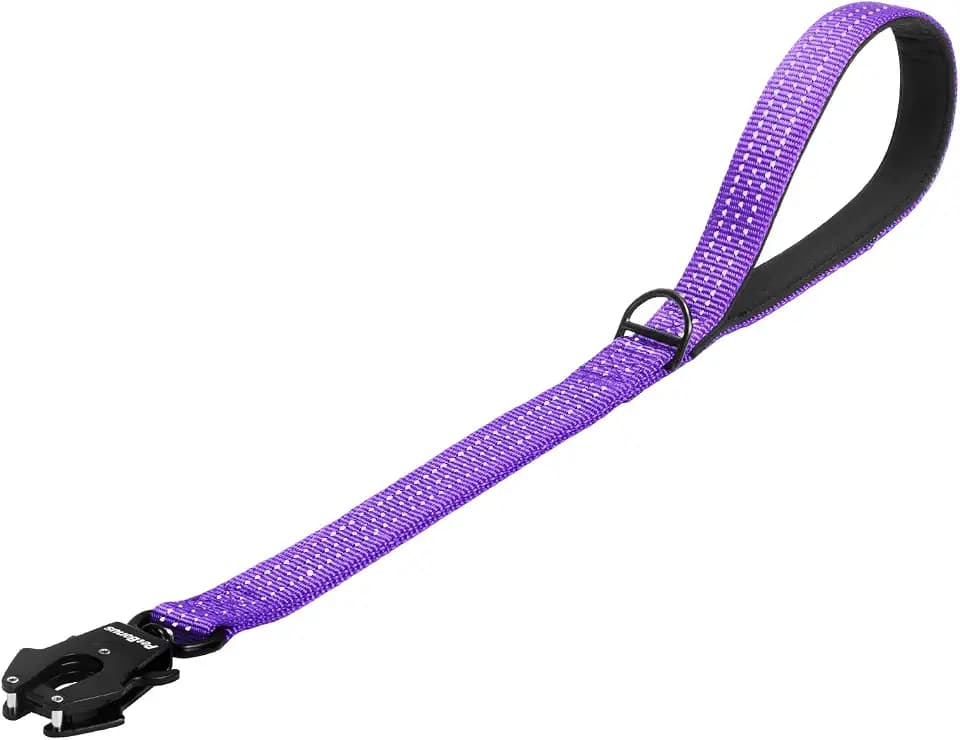 PetBonus Heavy Duty Short Dog Leash, 24" Nylon Lead with Quick Release Clip