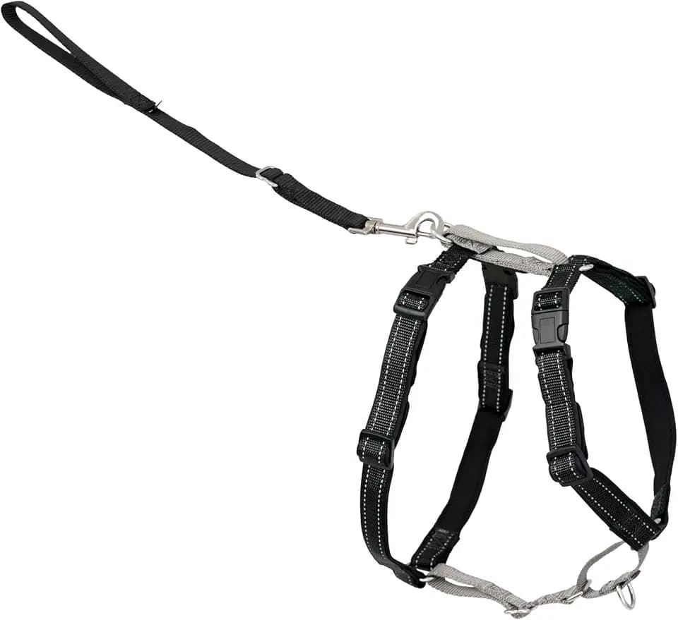 PetSafe 3 in 1 No-Pull Dog Harness - Walk, Train or Travel - Helps Prevent Pets from Pulling on Walks - Seatbelt Loop Doubles as Quick Access Handle - Reflective Accents - Large, Black