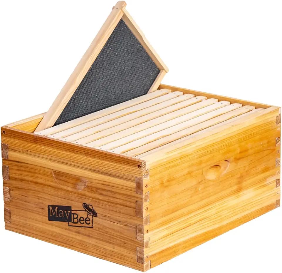 10-Frame Beehive Box Langstroth Deep Brood Box Dipped in Beeswax Includes Wooden Frames & Waxed Foundations (Unassembled)