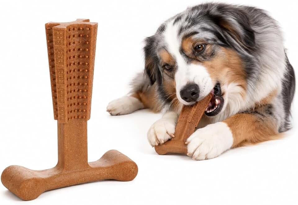 hundespielzeug - Kauspielzeug mit Rindfleischgeschmack - Nyl'o Bamboo T-Bone - Bambus und Nylon - Zahnpflege für Hunde - Flamingo