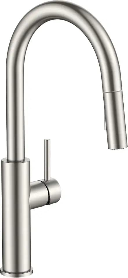 FORIOUS Kitchen Faucet with Pull Down Sprayer, Classic High Stainless Steel
