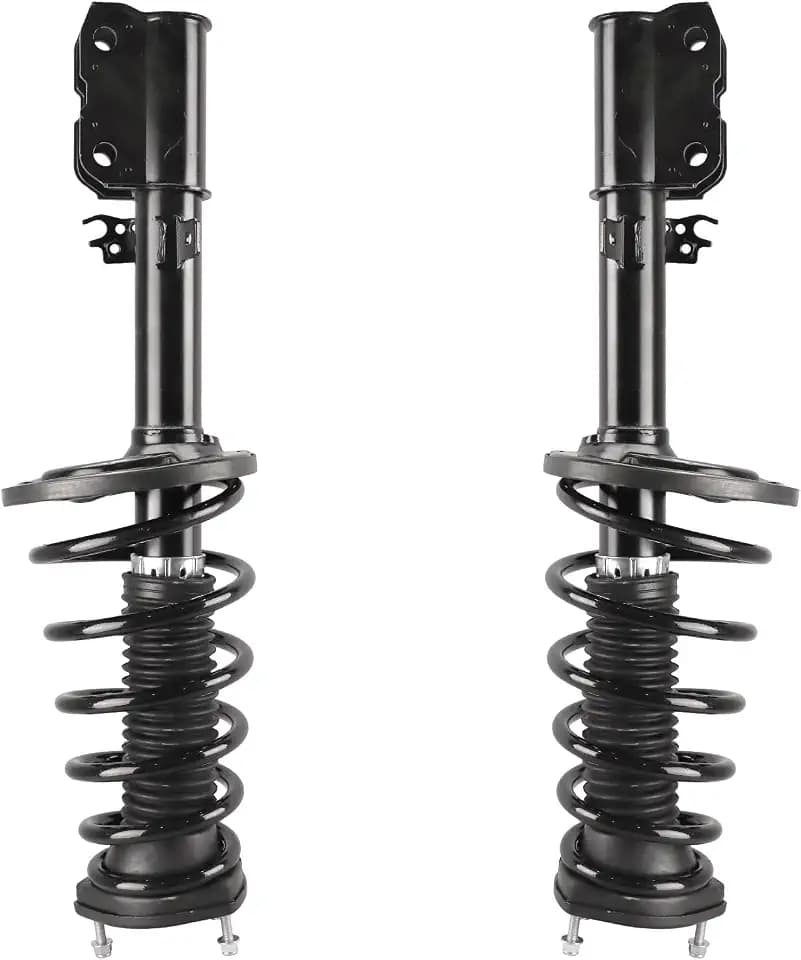 RAYTEN 172943/172942 Rear Suspension Strut and Coil Spring Assembly