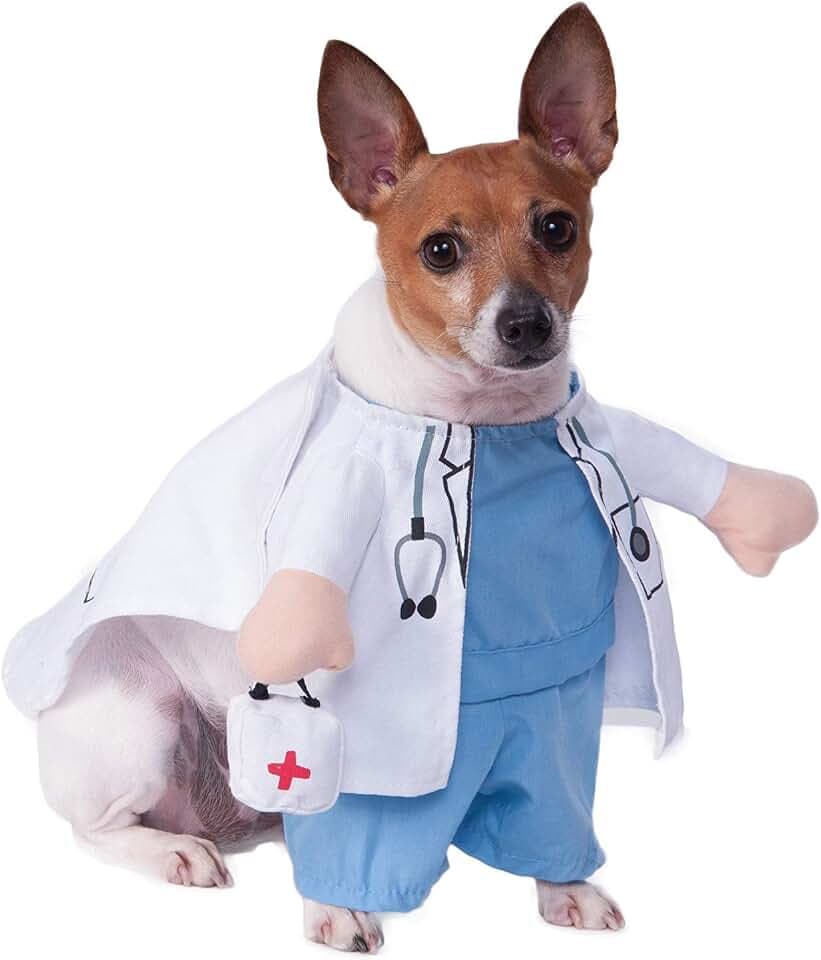Rubies Walking Vet Pet Costume for Dogs or Cats, XL