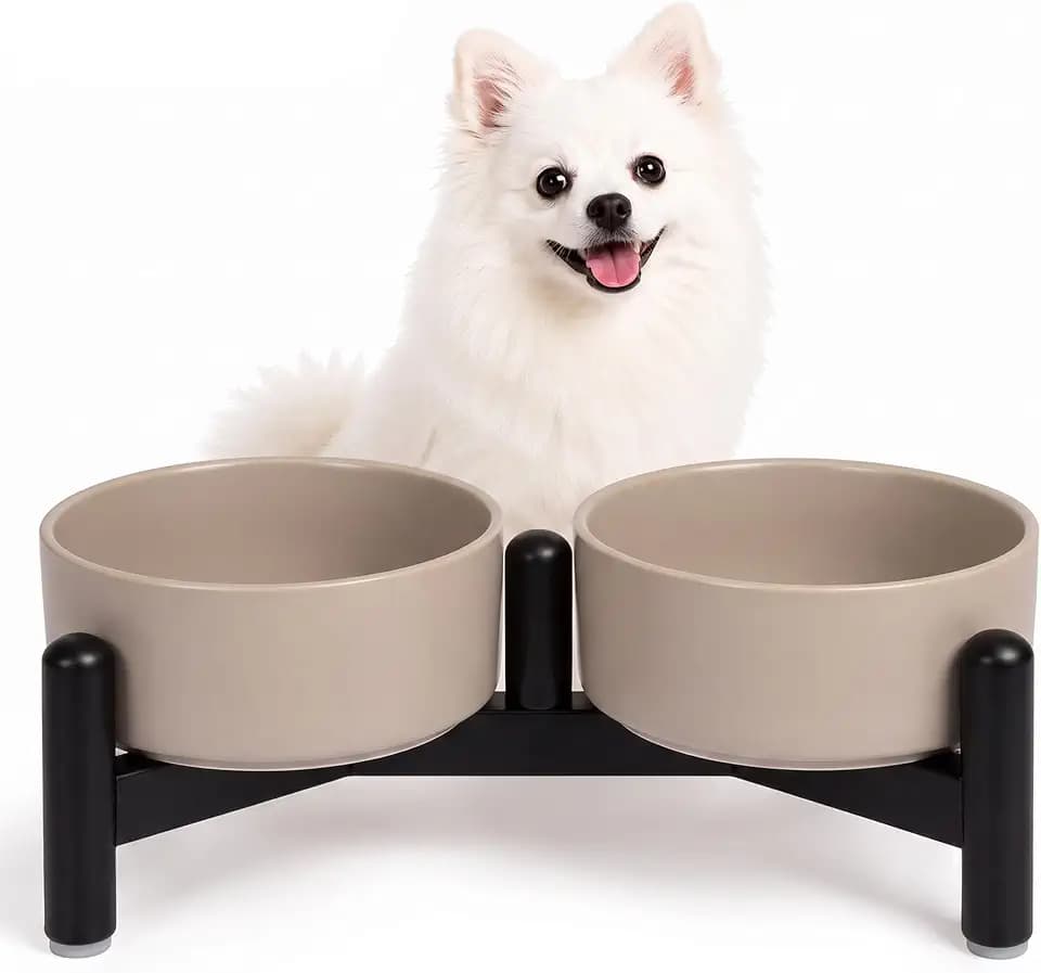 Futternapf Hund Erhöht Hundenapf Set - Ideal für Kleine Hunde und Katzen - Doppelte Fressnapf Keramik mit Edelstahl Ständer für Futter und Wasser - 160 g（320 ml） x 2 - Grau