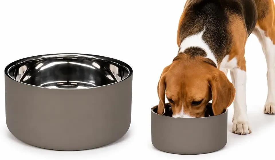 hundenapf - Xara Taupe Edelstahlnapf - doppelwandig - Elegantes Design - 1,2L
