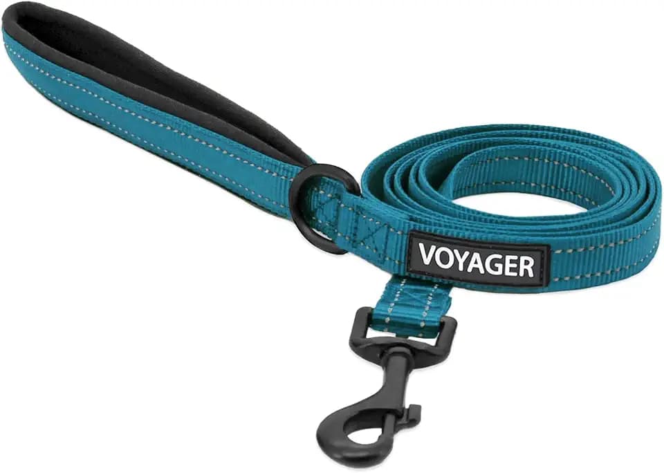 Best Pet Supplies Voyager Nylon Dog Leash - 6ft Turqioise, Large