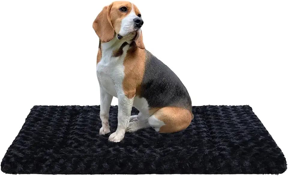 Exsnugy Washable Dog Bed Mat Medium Size Fluffy Pet Crate Pad 36x23
