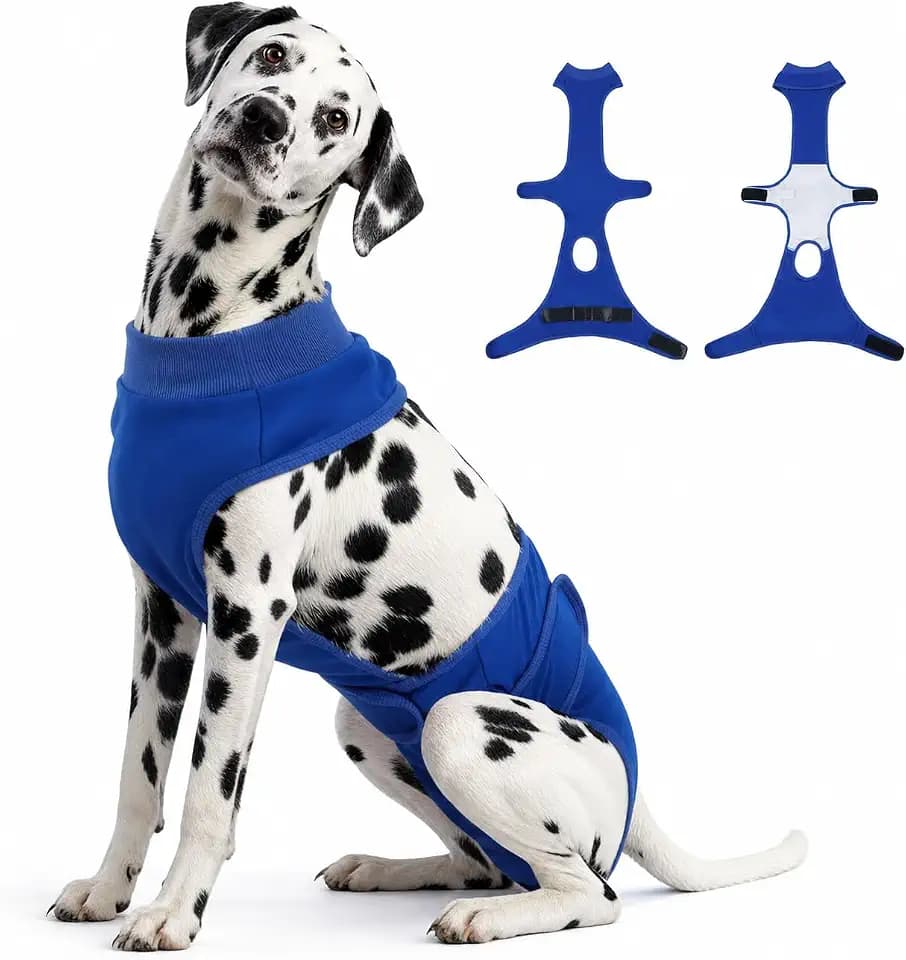 Dog Diapers，Washable Reusable Period Diapers & Belly Bands,Blue L