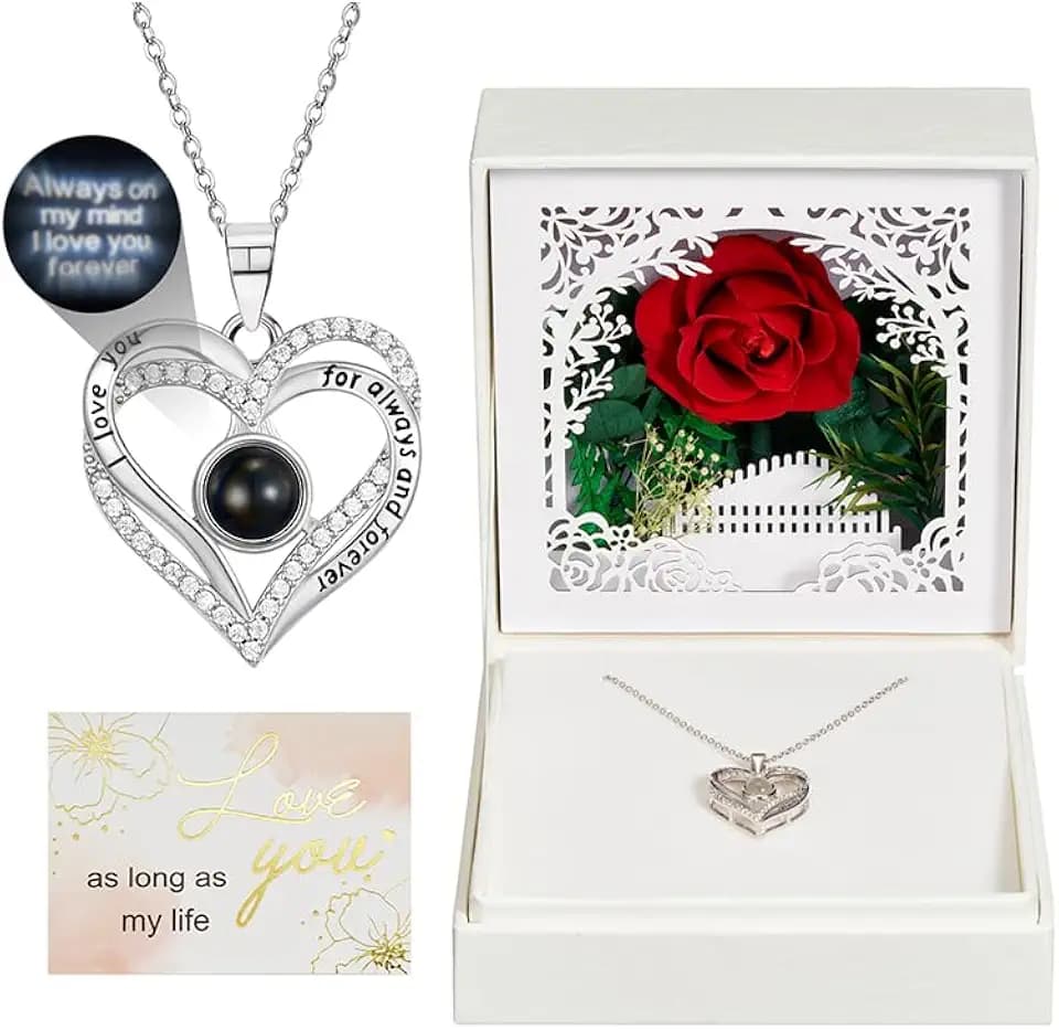 NORBU Preserved Real Red Rose with Infinity Heart Projection Necklace