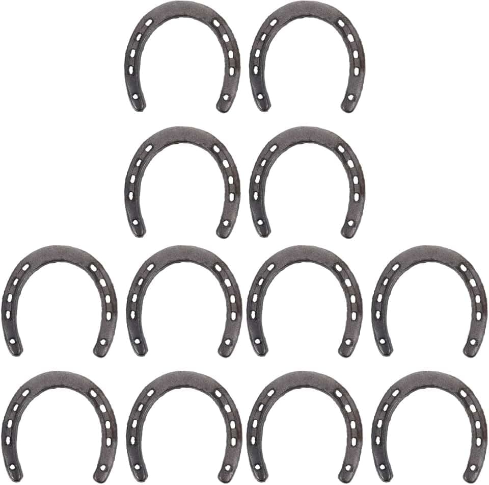 HANABASS 12 Pack Cast Iron Horseshoe Decor, 4.52 in Wall Ornaments