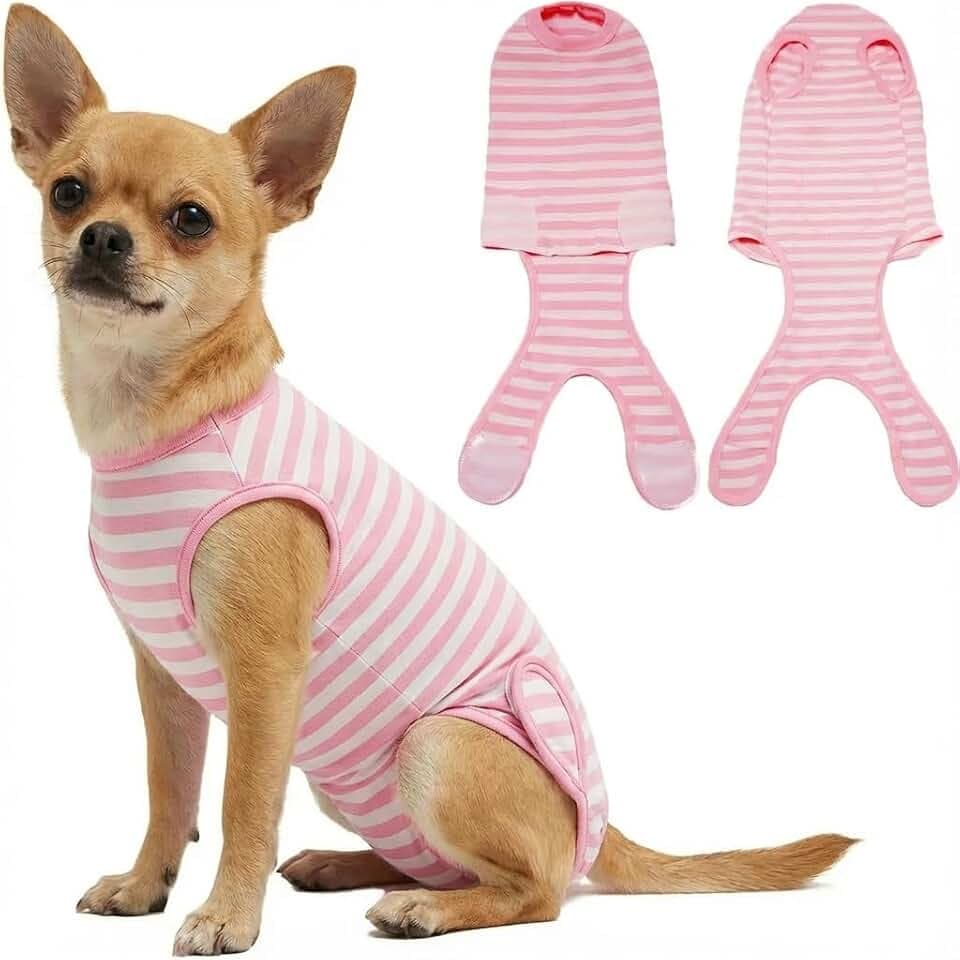 Recovery Suit for Small Dogs,Female and Male Spay Neuter Onesie