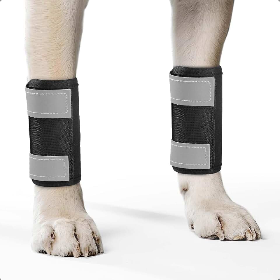OHCOZZY Hundeschiene 2 Einheiten Vorderbein mit reflektierenden Riemen, Hund Handgelenkstütze gegen Lecken, Hundebandagen für Wickel Wunde Verletzung und Verstauchung Heilung,L