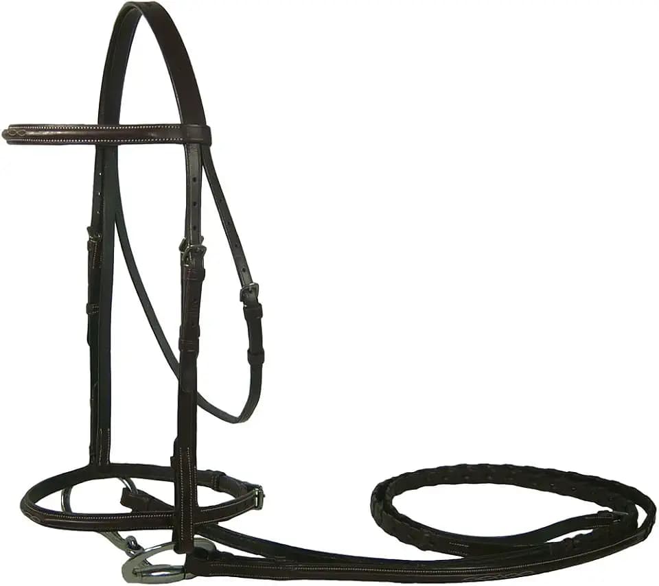 Derby Originals Premium Fancy Stitched Bridle with Laced Reins