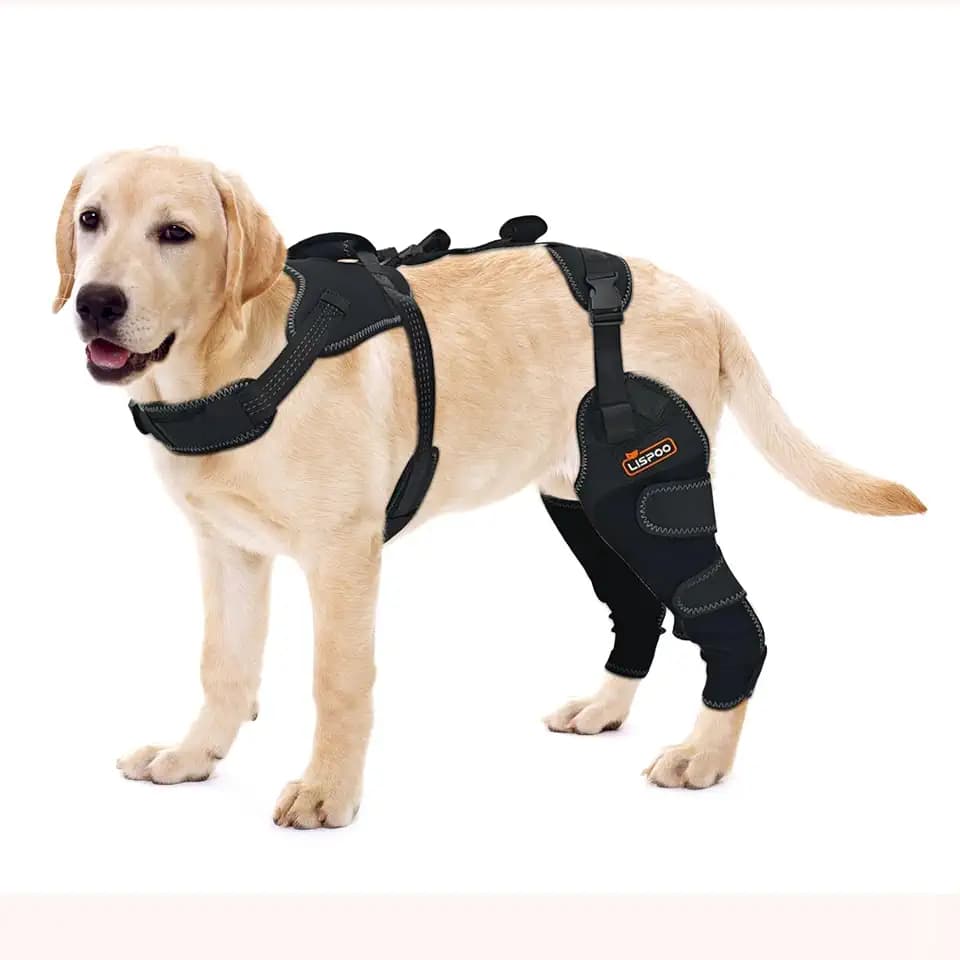 Hunde-Kniebandage für ACL, Arthritislinderung und Patella-Luxation, Größe XL