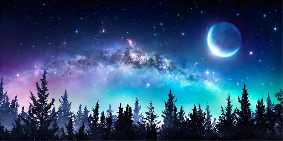 AOFOTO 6x3ft Night Sky Forest Backdrop Universe Space Nebula Galaxy Starry Sky Photo Background Northern Colorful Lights Stars and Moon Winter Village Party Events Poster Banner Photo Shoot Props